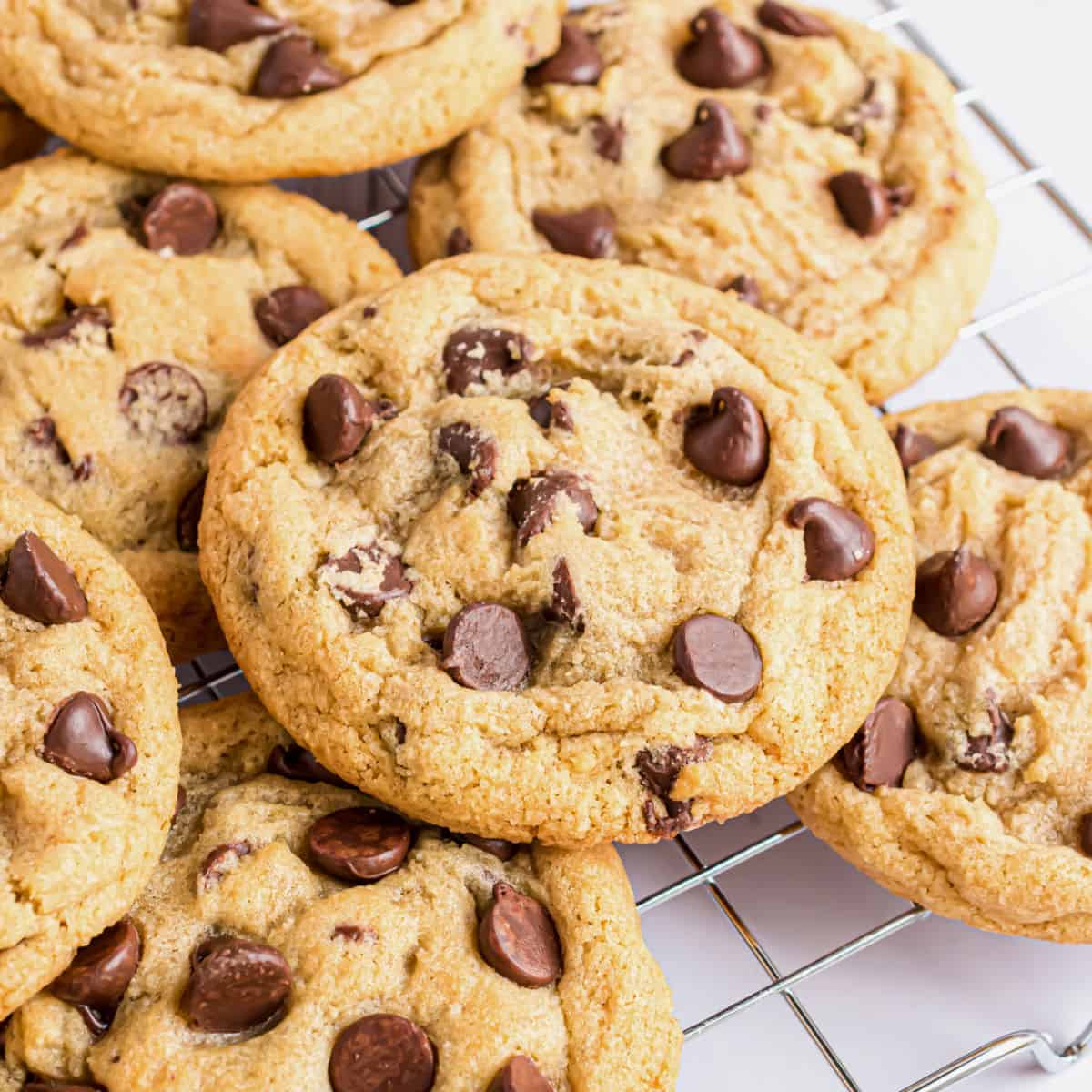 chocolate chip cookies
